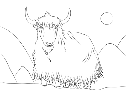 Yak  Coloring Page